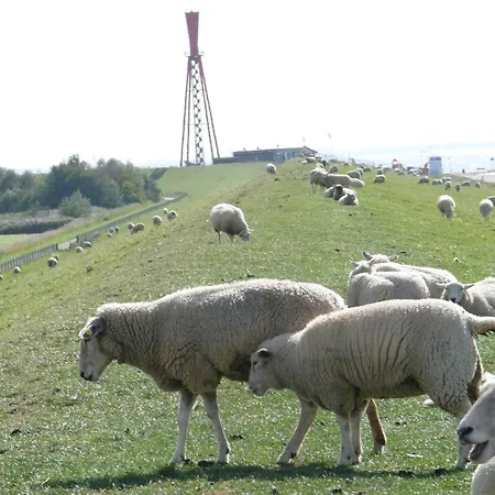 Hochwertiges In Einem Holiday home Butjadingen